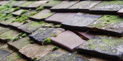 Mamhilad roof repair costs